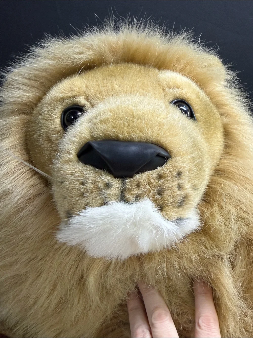 Vintage Douglas Cuddle Plush Lion RARE Animal jumbo Giant 46” Paw-Tail Tip HUGE